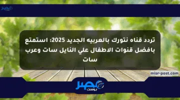 تردد قناة نتورك بالعربية الجديد 2025: استمتع بأفضل قنوات الأطفال على النايل سات وعرب سات